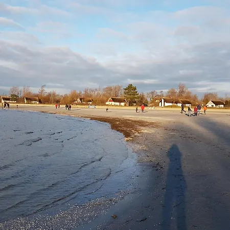 Sonnenschein * Makkum