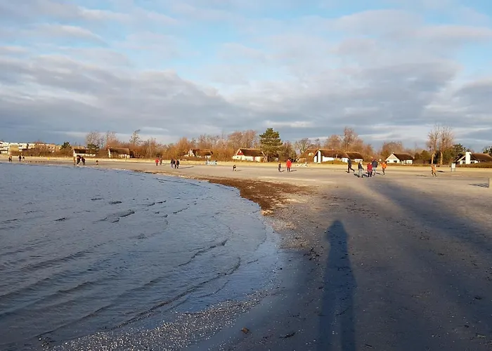 Sonnenschein * 玛库姆